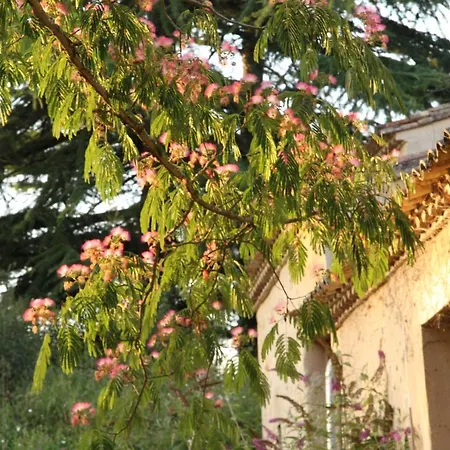 Domaine De Lavergne * Pujols (Gironde)