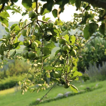 Domaine De Lavergne Maison d'hôtes Pujols (Gironde)