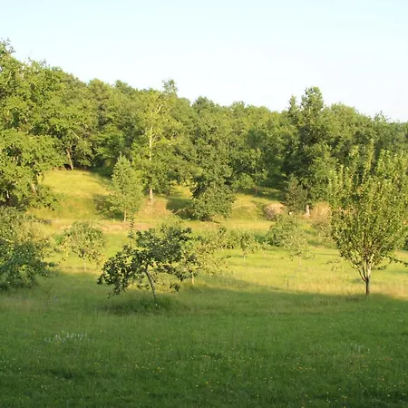Domaine De Lavergne * Pujols (Gironde)