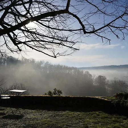 Domaine De Lavergne * Pujols (Gironde)