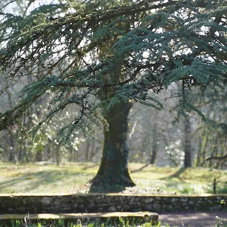 Domaine De Lavergne Maison d'hôtes *