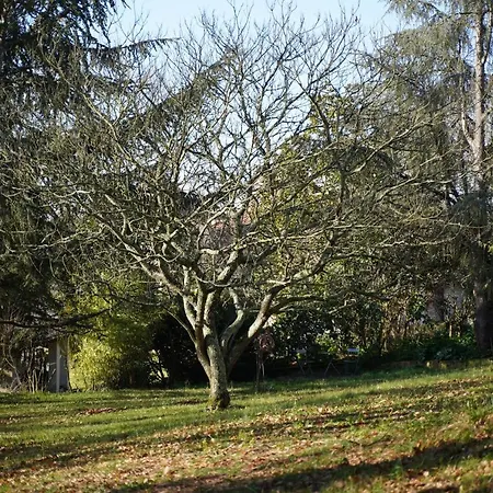 Domaine De Lavergne Maison d'hôtes